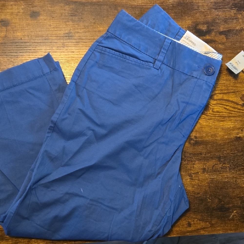 LOFT Women's Blue Capris